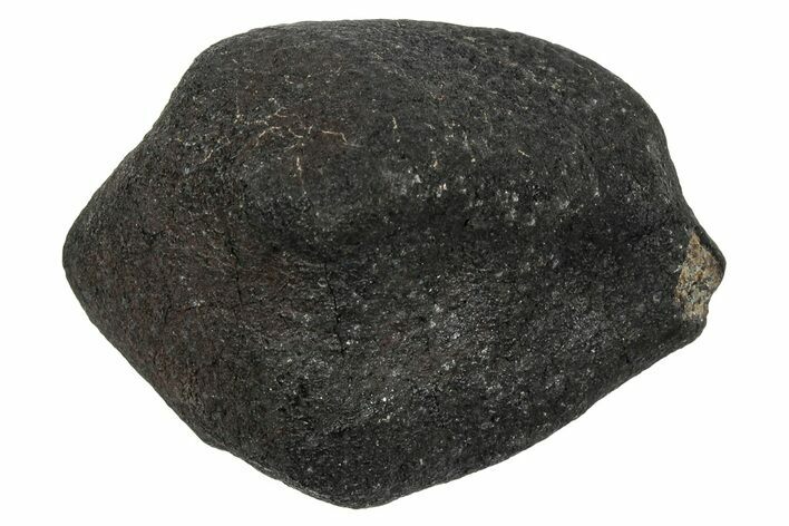 Bassikounou Chondrite Meteorite ( g) - Witnessed Fall! #333023